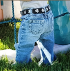 Belts